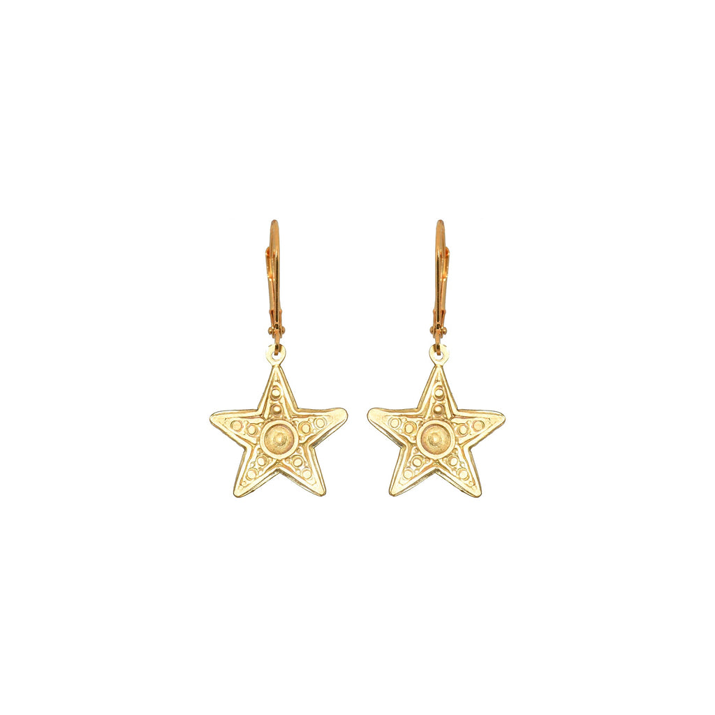 Small Star Earrings