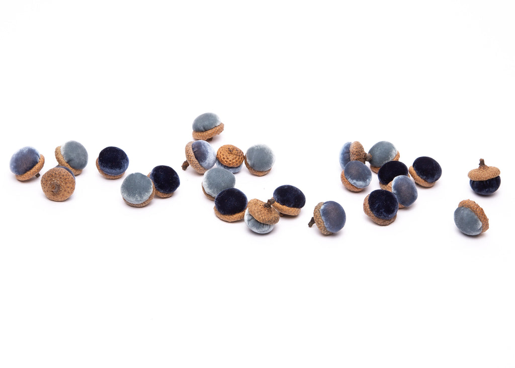 Blues Acorns, Set of 24