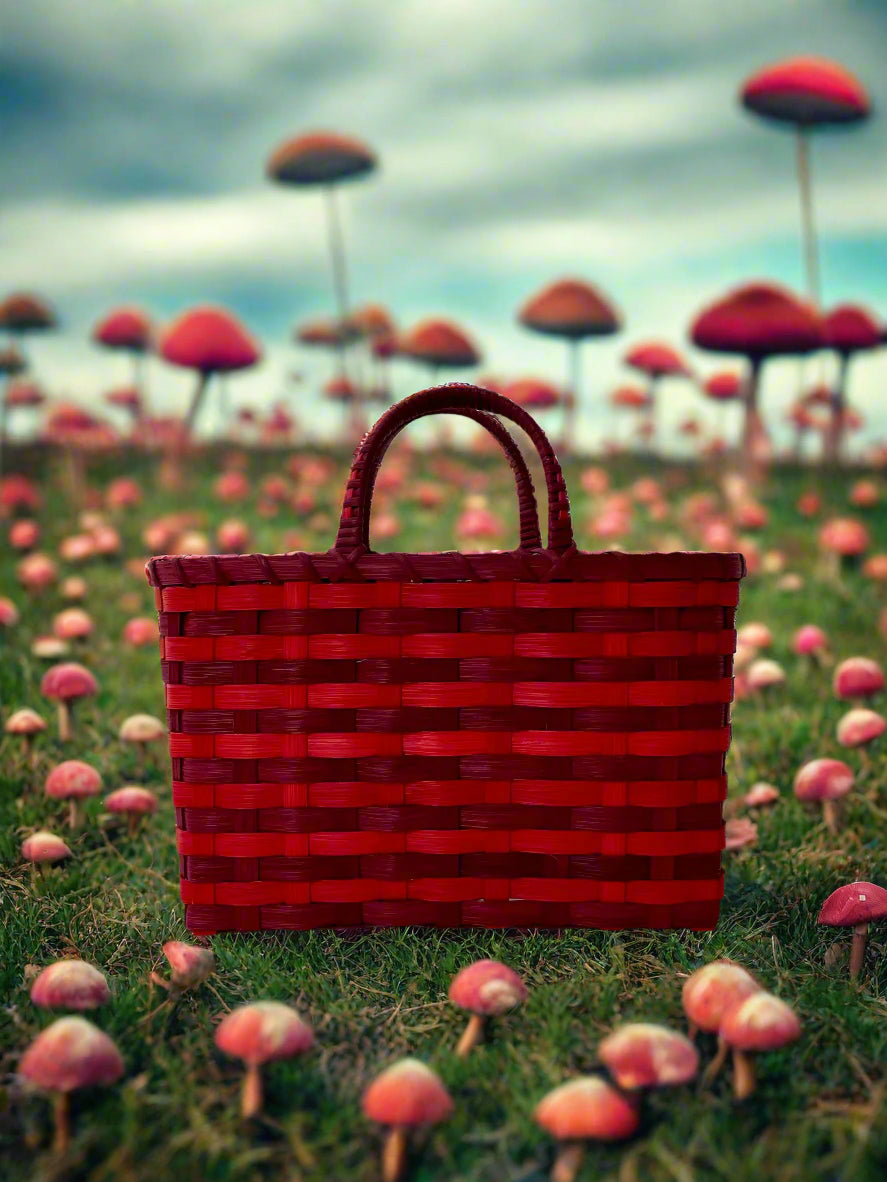 Retro-Travel Tote in Maroon & Red