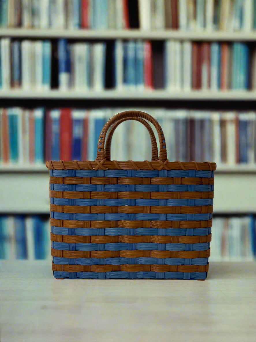 Retro-Travel Tote in Blue & Brown