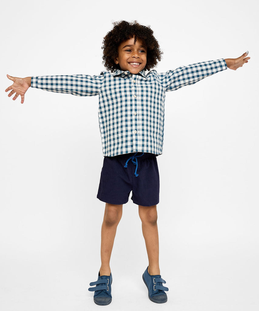 Jeffie Shirt in Blue Picnic Check
