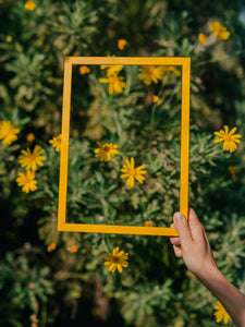 Naples Yellow Wood Picture Frame