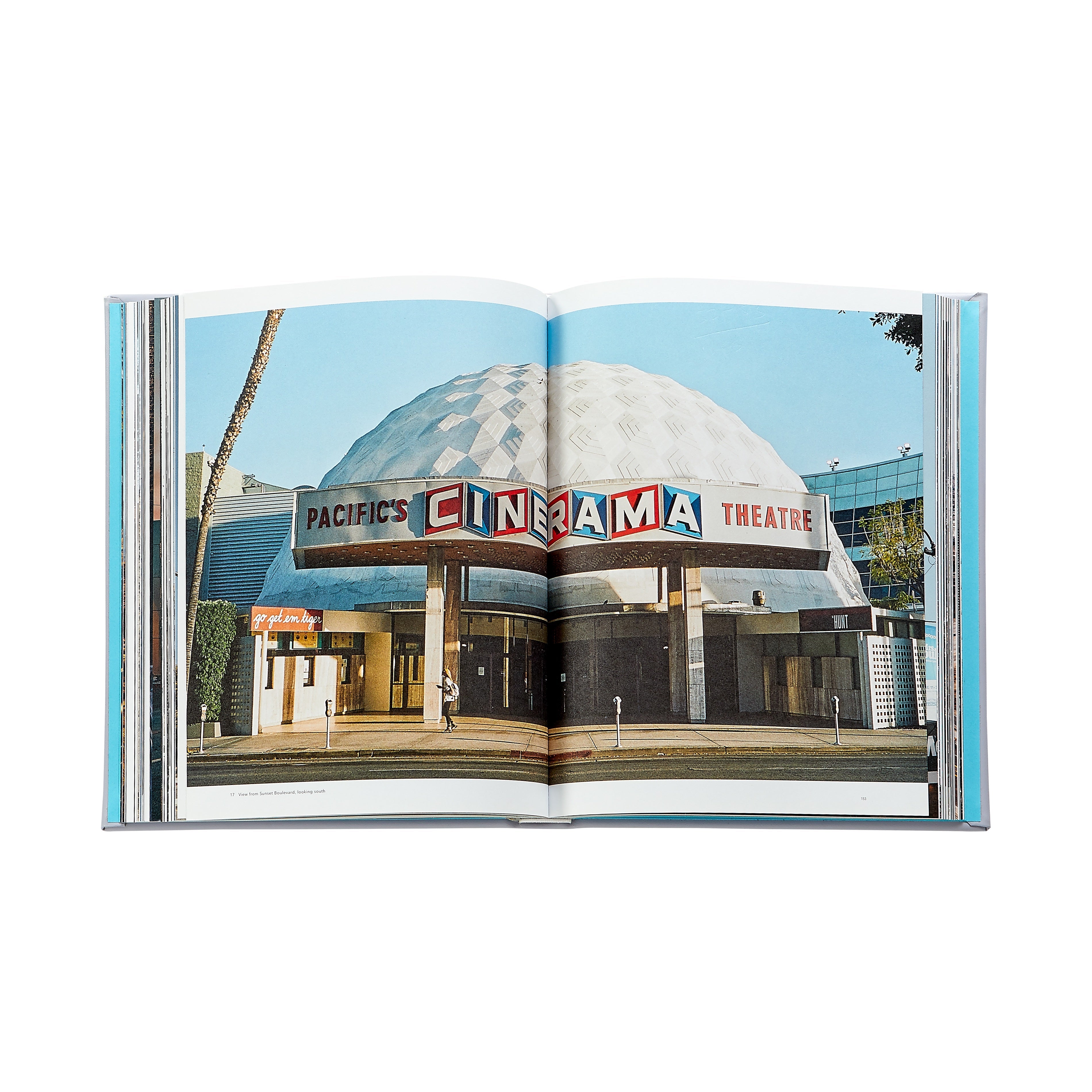 Trope Los Angeles in Lilac