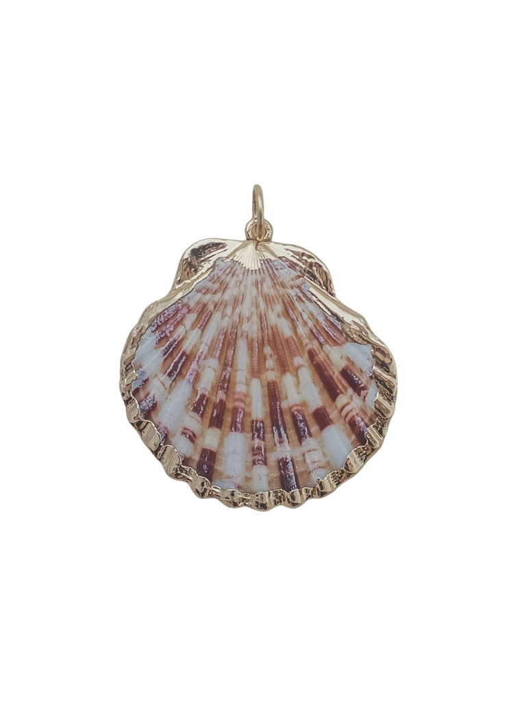 Medium Scallop Shell Charm in Multi
