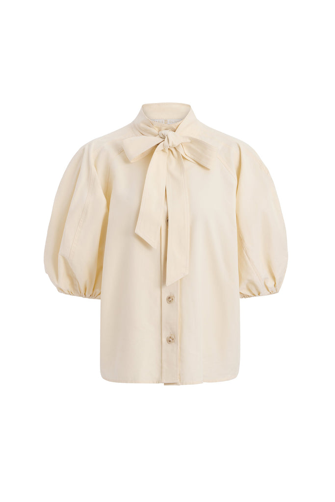 Navi Top in Turtledove