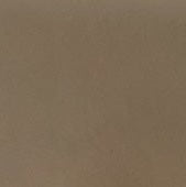 Jane in Vacchetta Mushroom