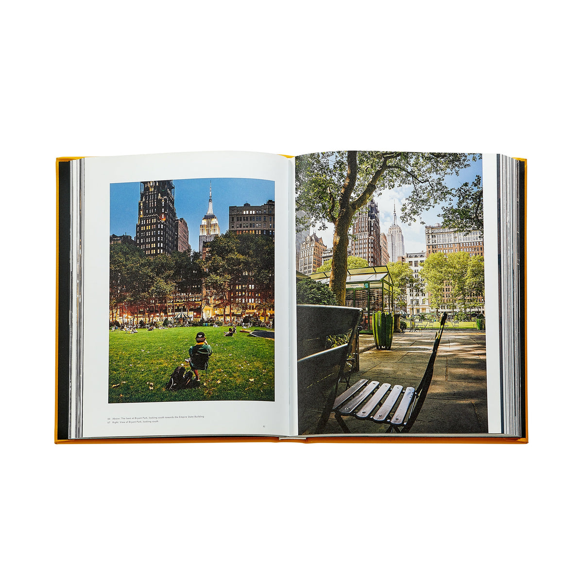 Trope New York in Yellow