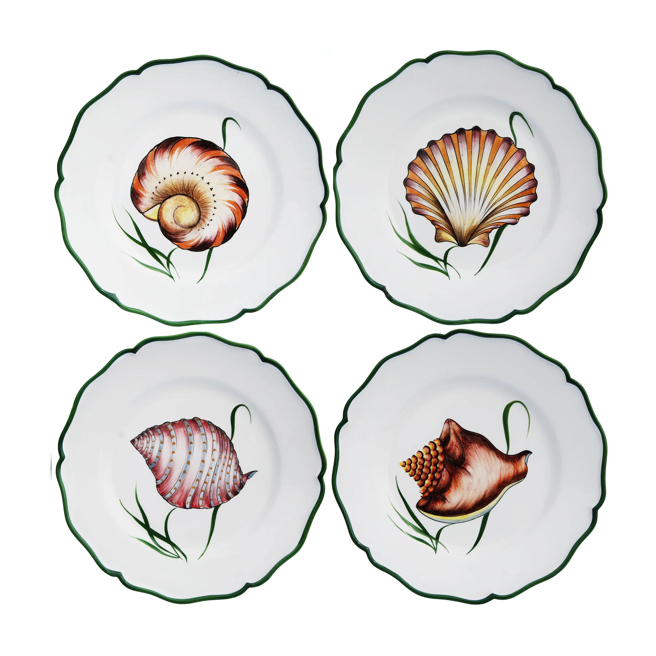 Shells Dinner Plate in Multi, Set of 4