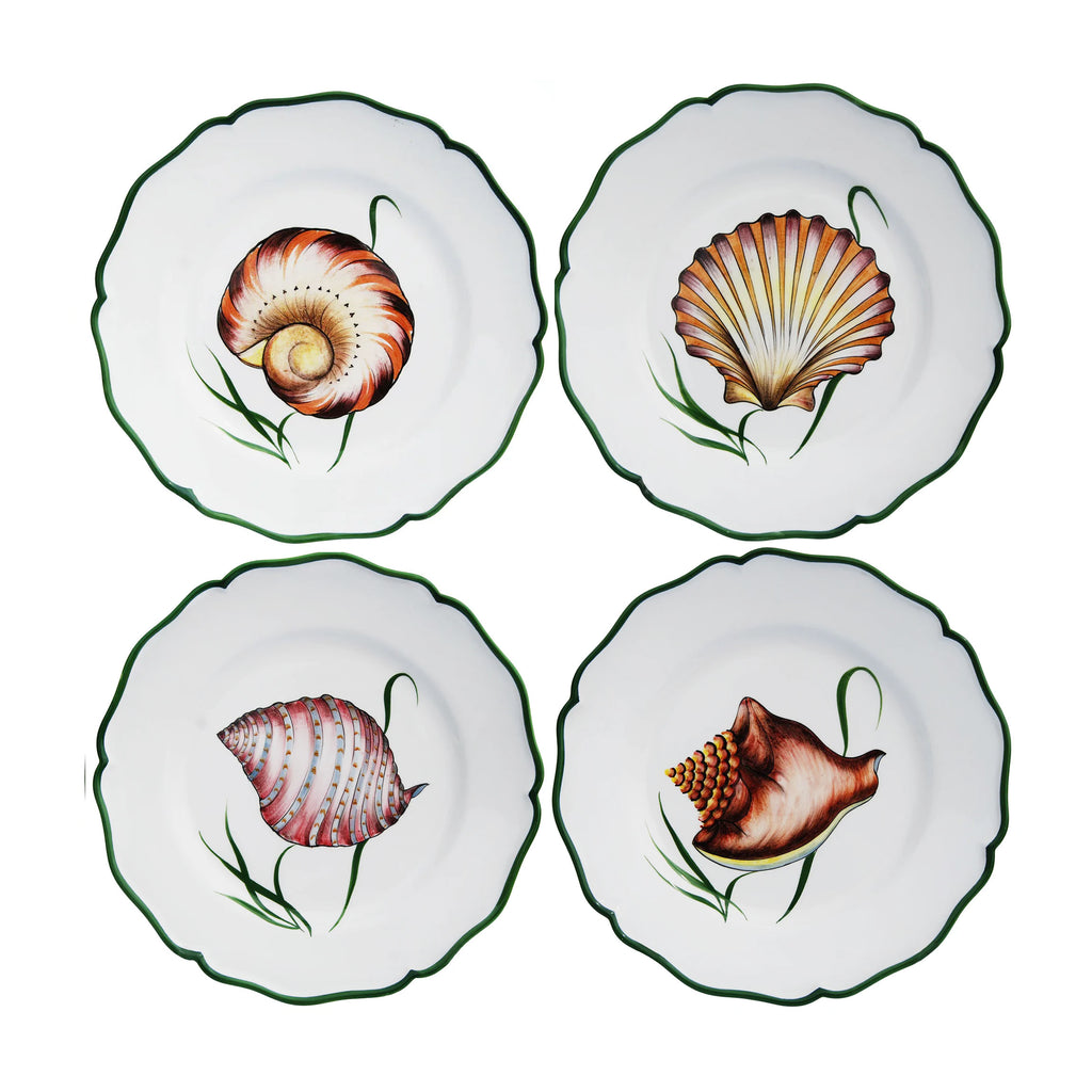 Shells Dinner Plate in Multi, Set of 4