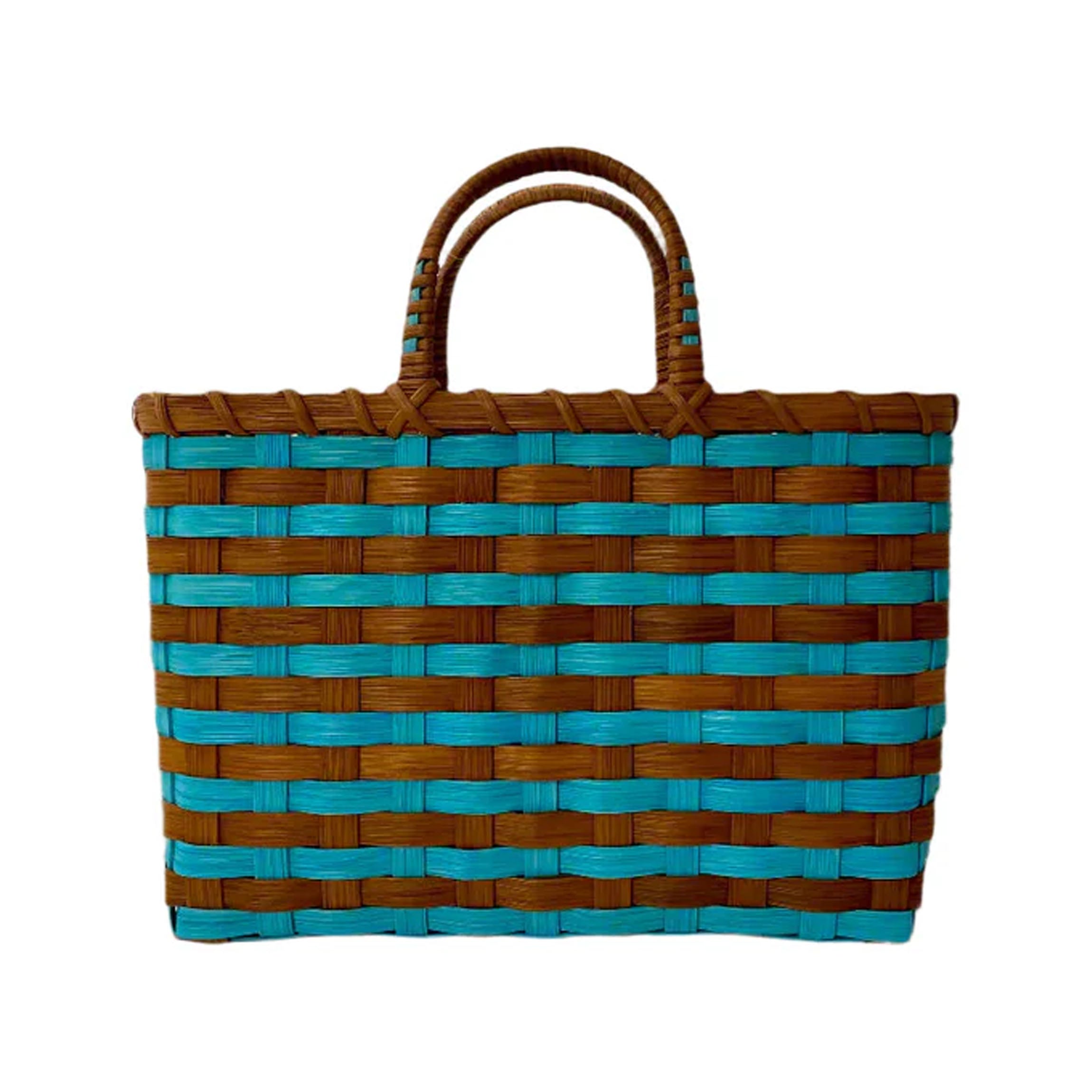 Retro-Travel Tote in Sea Glass & Rust