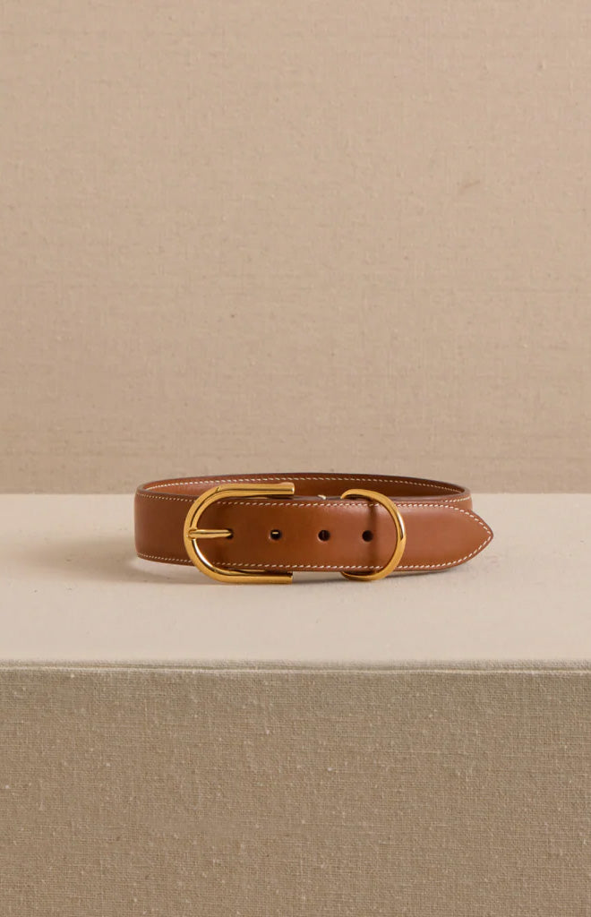 Pet Collar 30 in Vacchetta Luggage