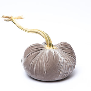 Putty Silk Velvet Pumpkin