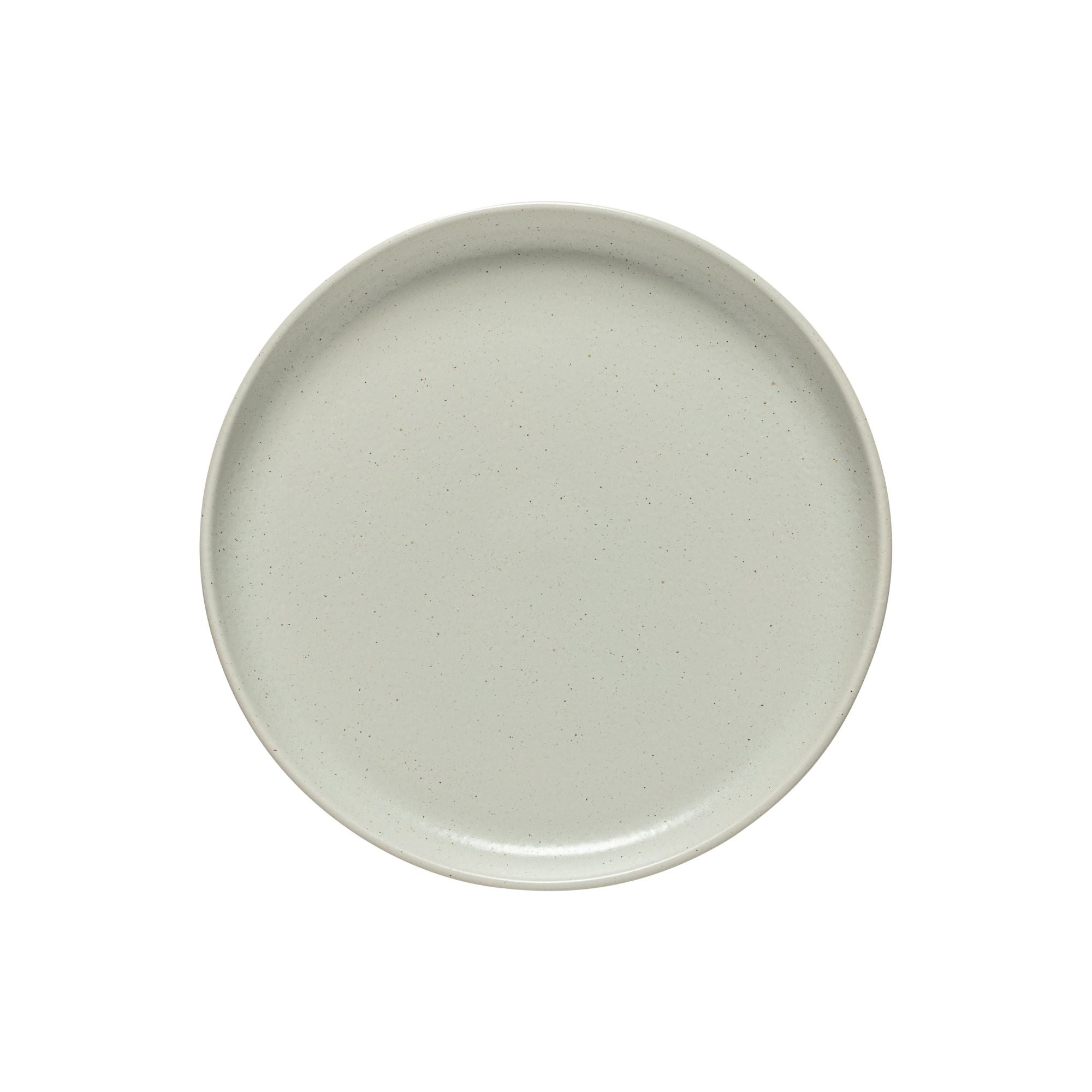 Pacifica Collection Dinner Plates in Oyster Grey, Set of 6