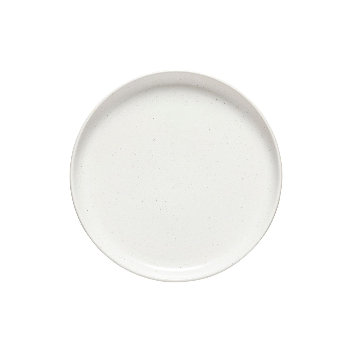 Pacifica Collection Dinner Plates in Salt, Set of 6