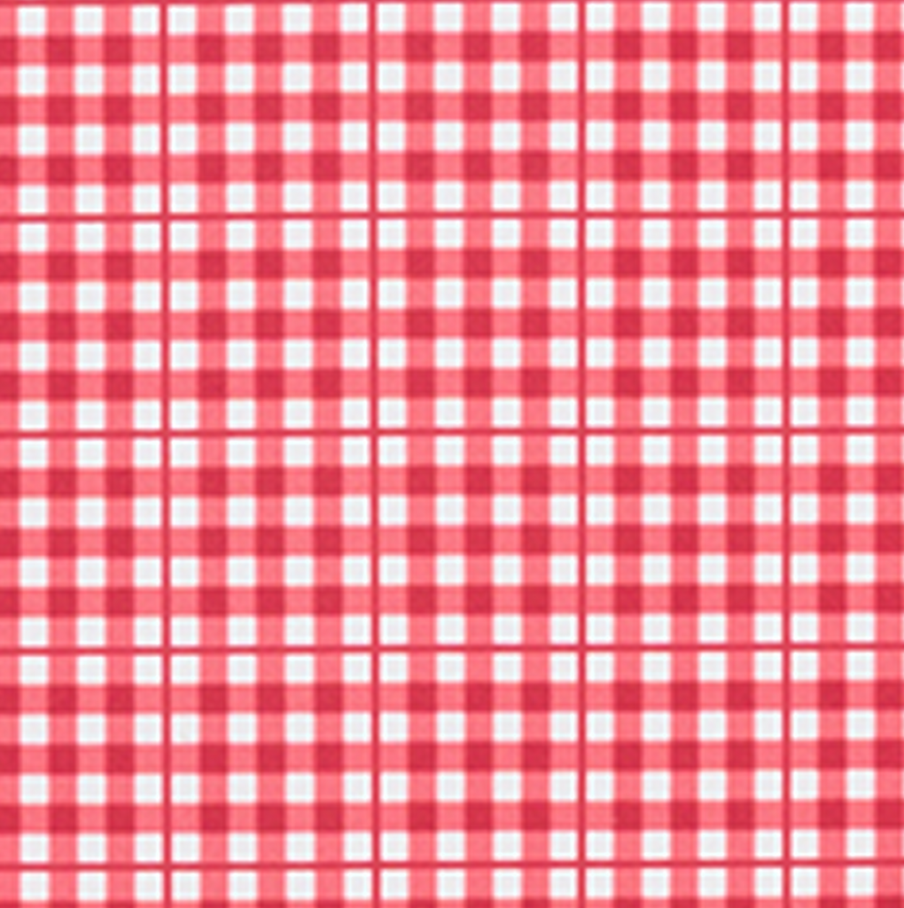 Women’s Poppy Gingham High Waist Bikini Bottom