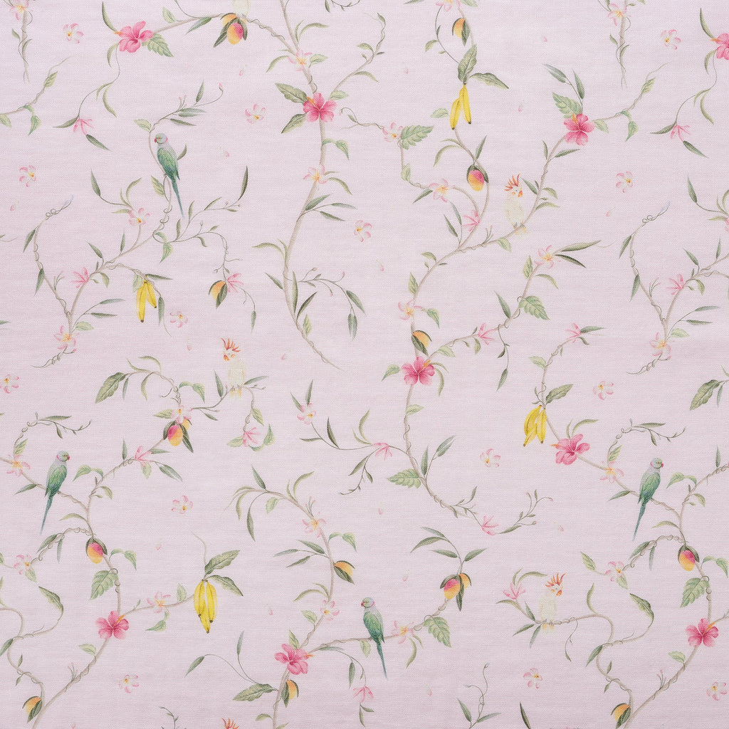 Dreaming of Paradise up close shot of print