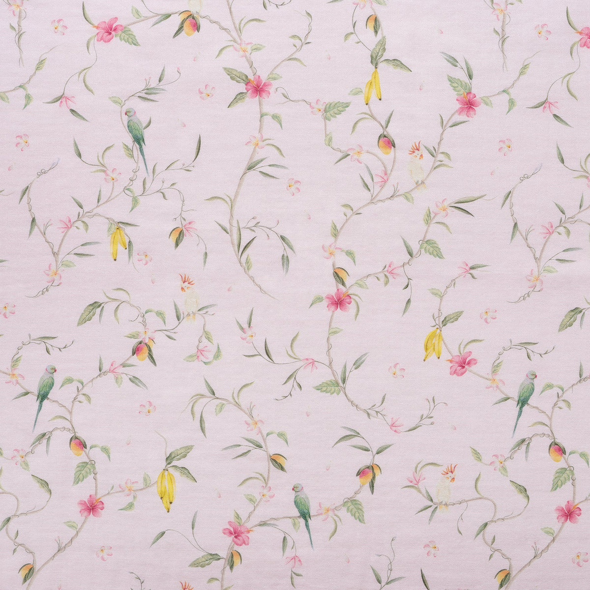 Dreaming of Paradise up close shot of print