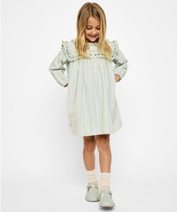 Sara Dress in Sage Chevron Stripe