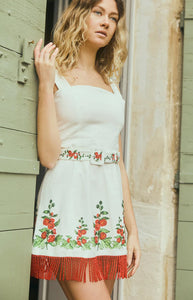Sarah Bird Mini Dress x Larsen McDowell