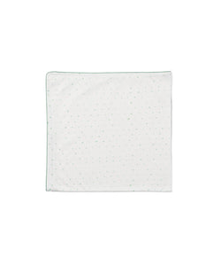 Shane Blanket in Seafoam Hearts