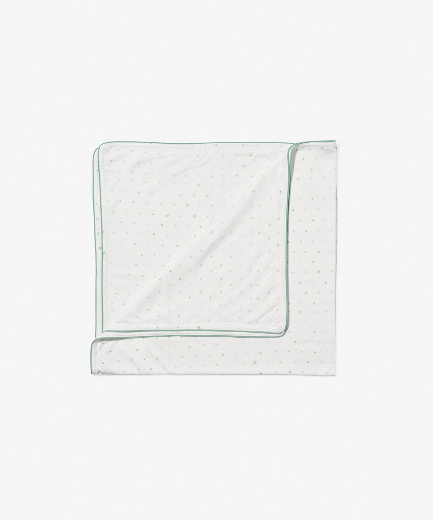 Shane Blanket in Seafoam Hearts