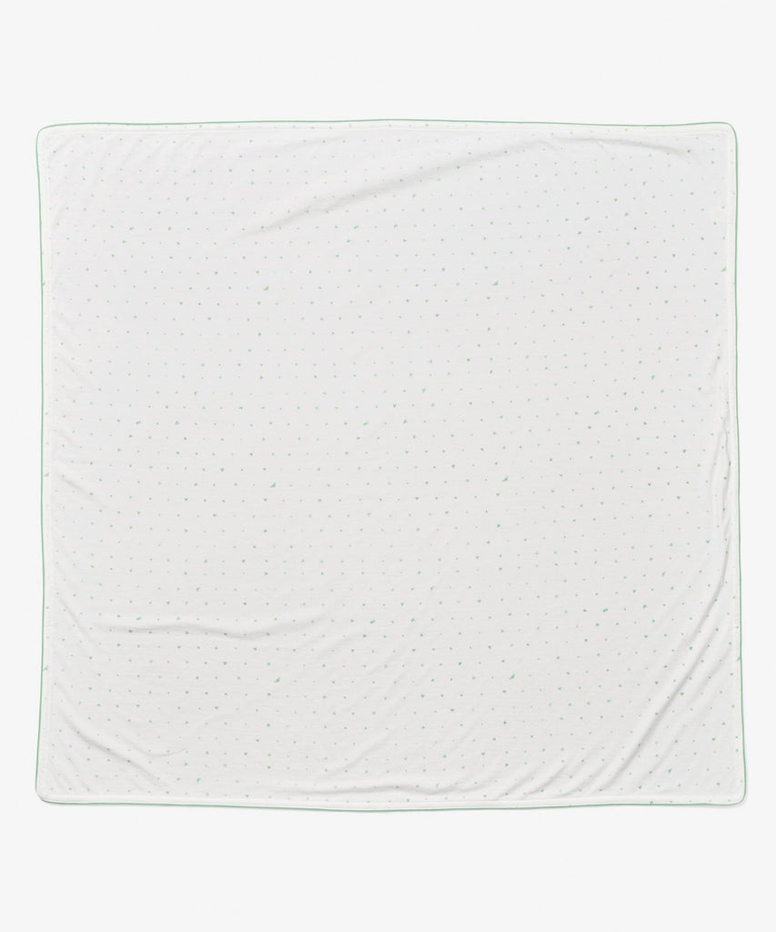 Shane Blanket in Seafoam Hearts