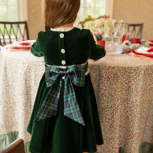 Eliza Dress in Grafton Green Velvet