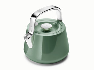 Whistling Tea Kettle
