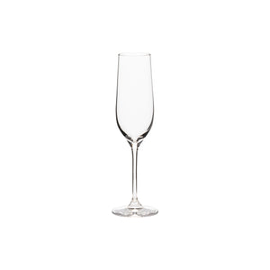 Alice Collection Flutes 9 fl oz in Clear, Set of 6