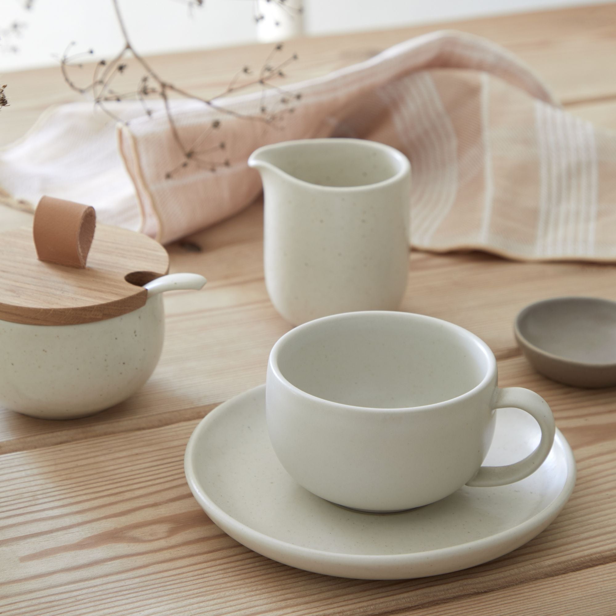 Pacifica Collection Teacups & Saucers in Salt, Set of 6