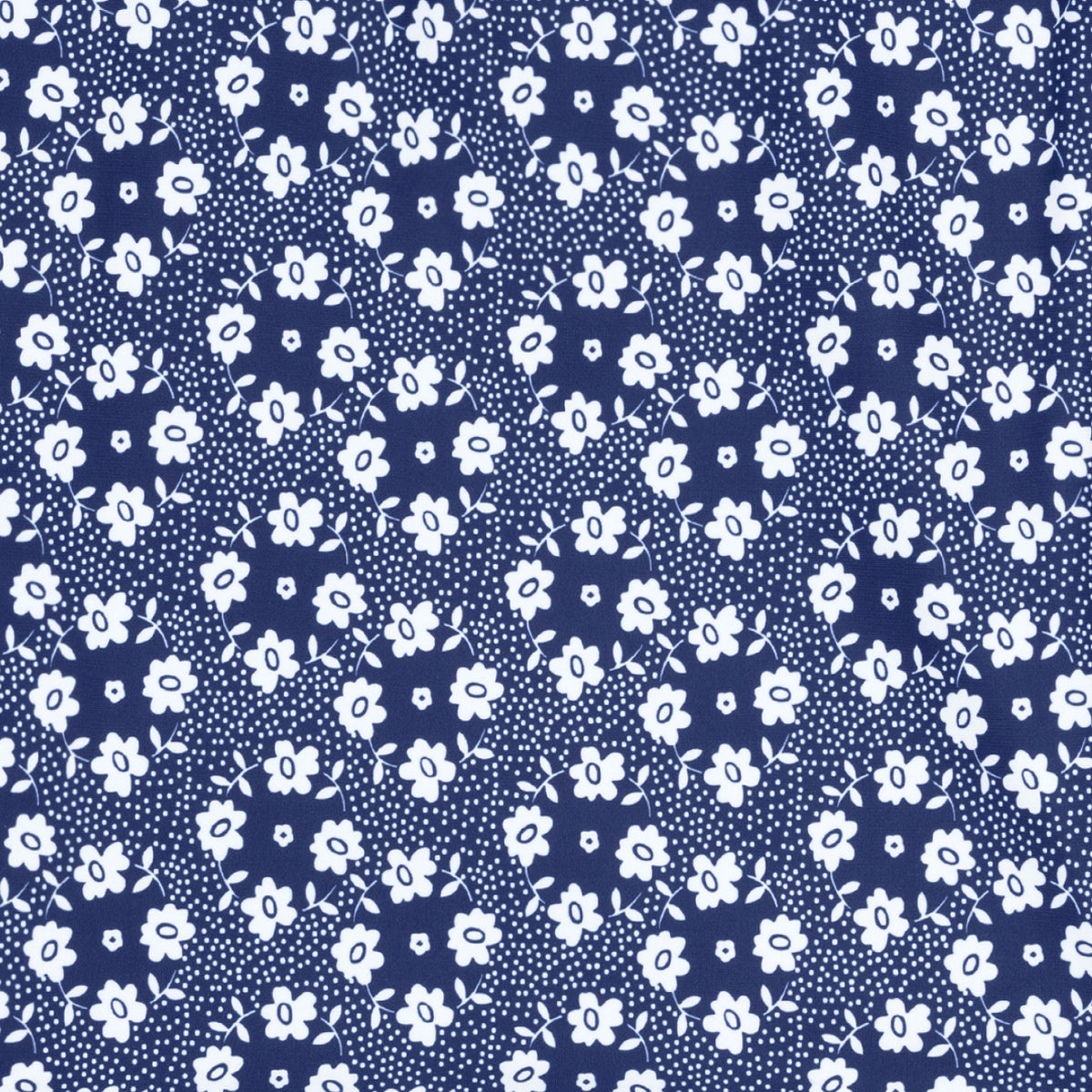 Women’s Ditch Plains Daisy One Piece