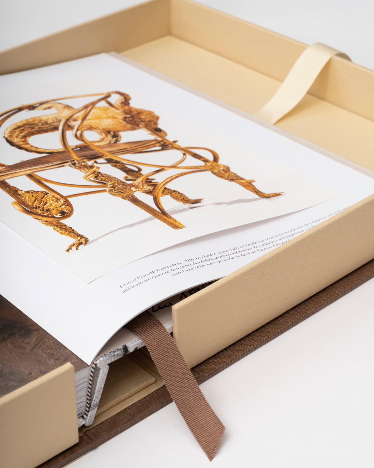 Lalanne: A World of Poetry - ASSOULINE