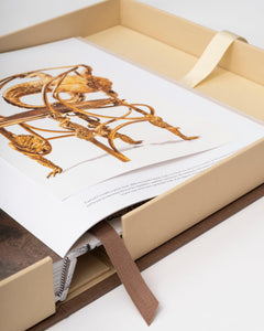 Lalanne: A World of Poetry - ASSOULINE