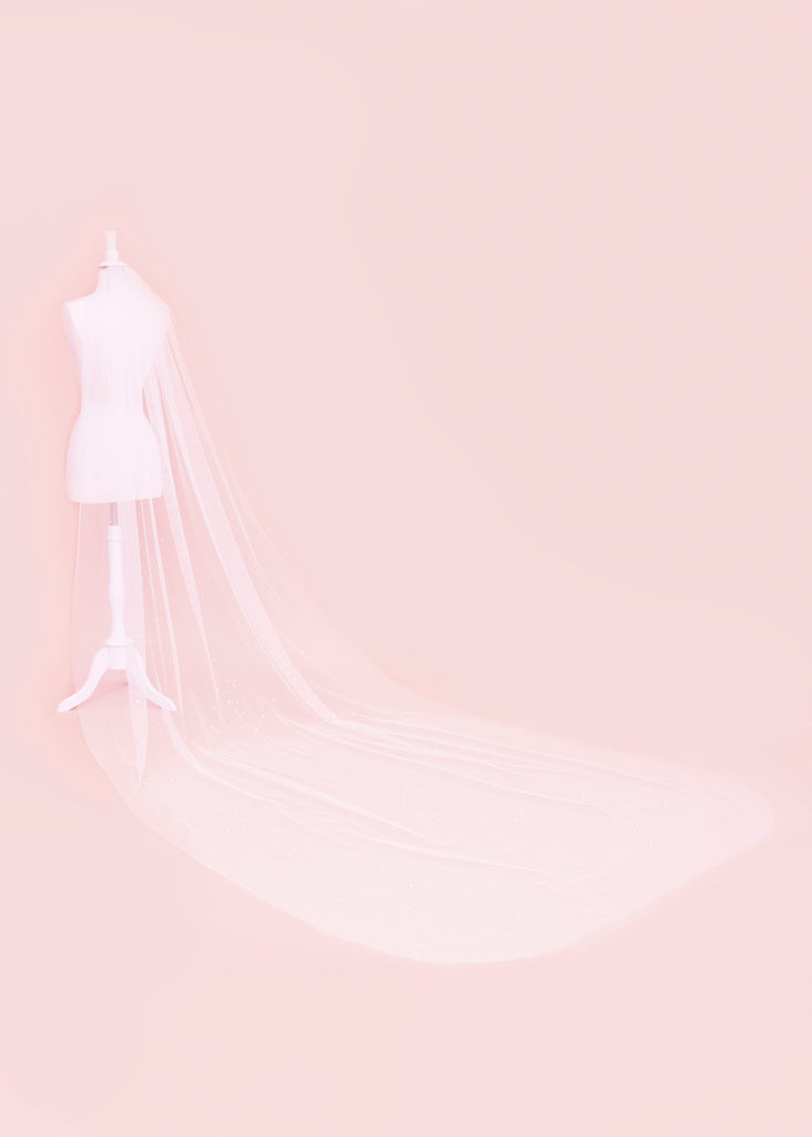 Siena Embellished Wedding Veil