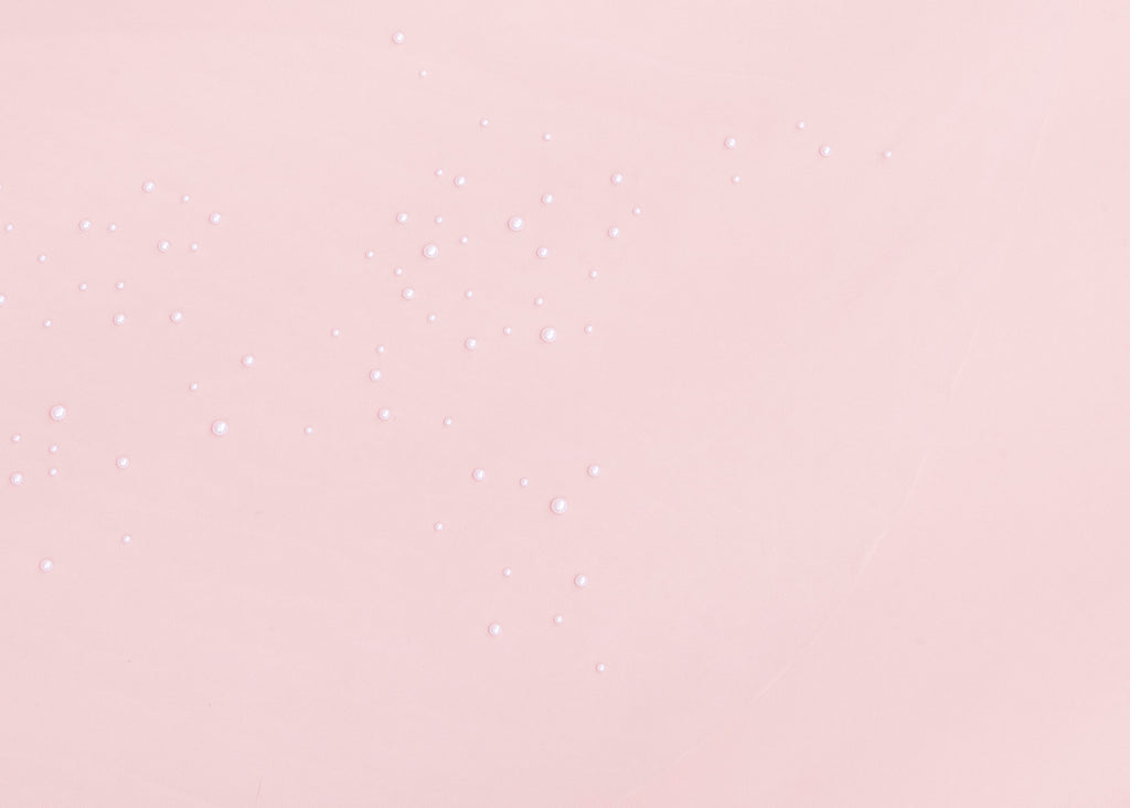 Siena Embellished Wedding Veil