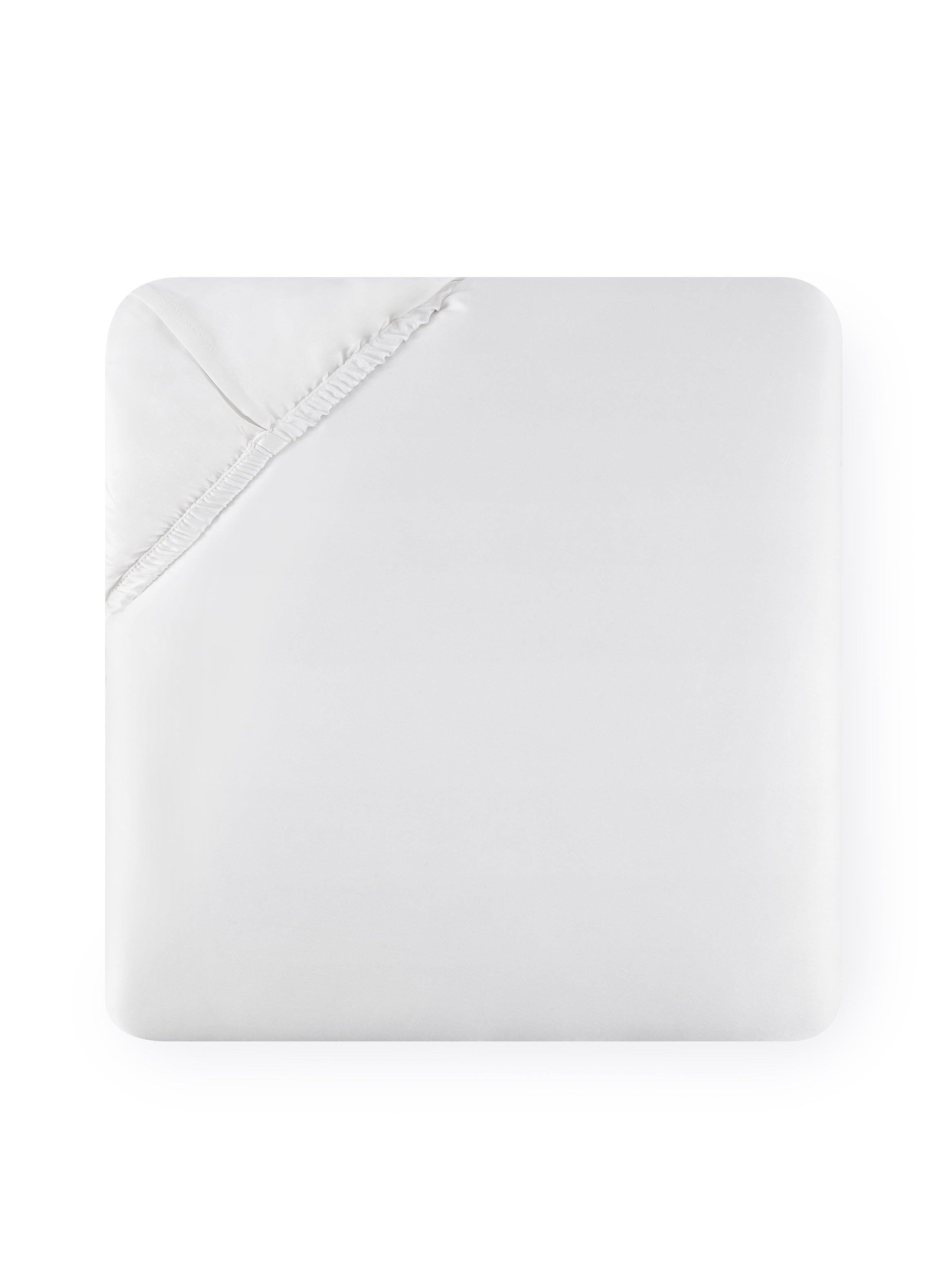 Sferra on Over The Moon