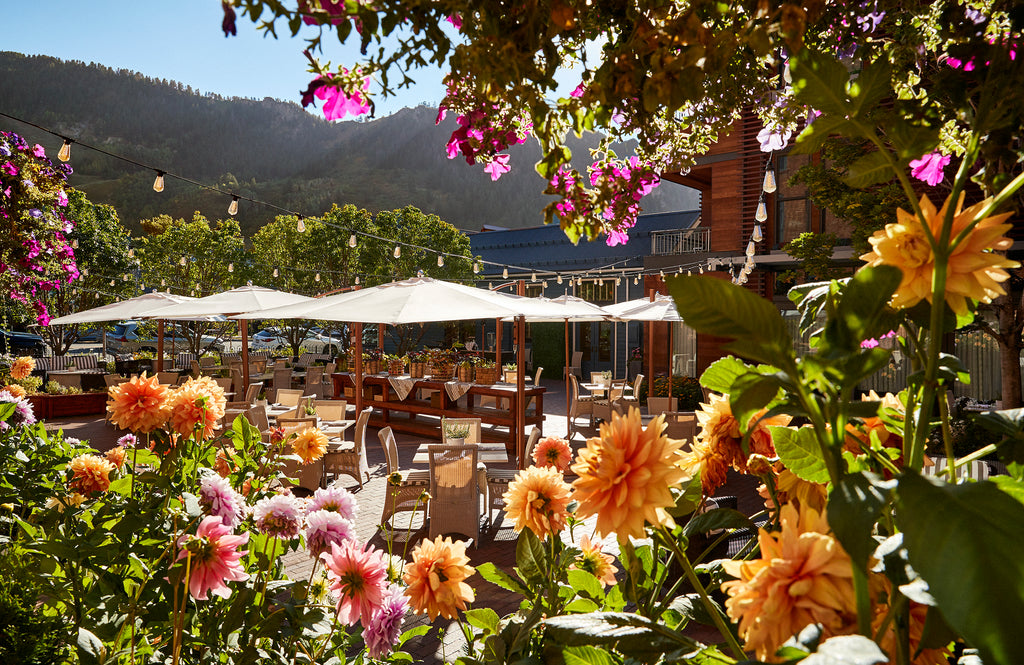 Hotel Jerome and Madeline Hotel Colorado, Luxury 6-Night Stay