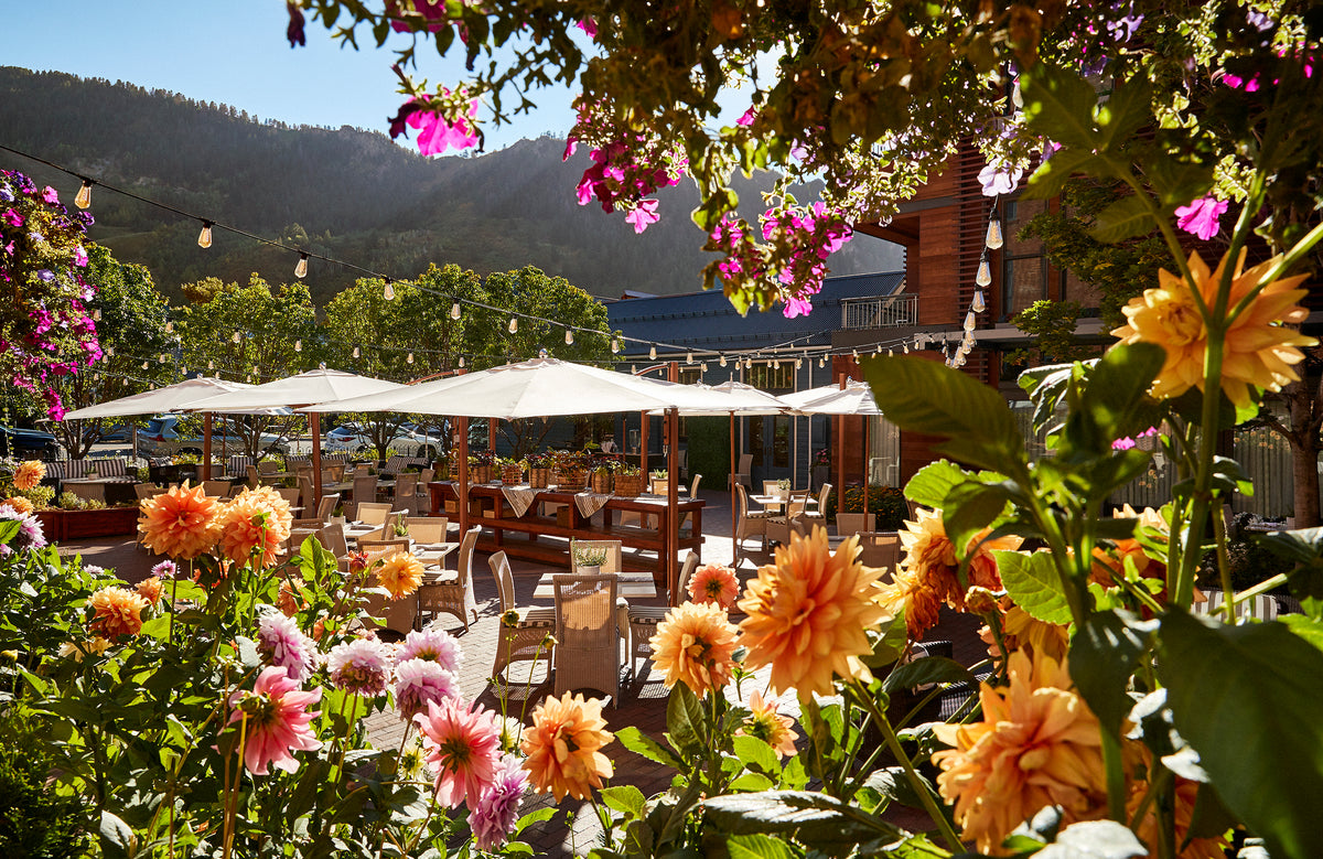 Hotel Jerome and Madeline Hotel Colorado, Luxury 6-Night Stay