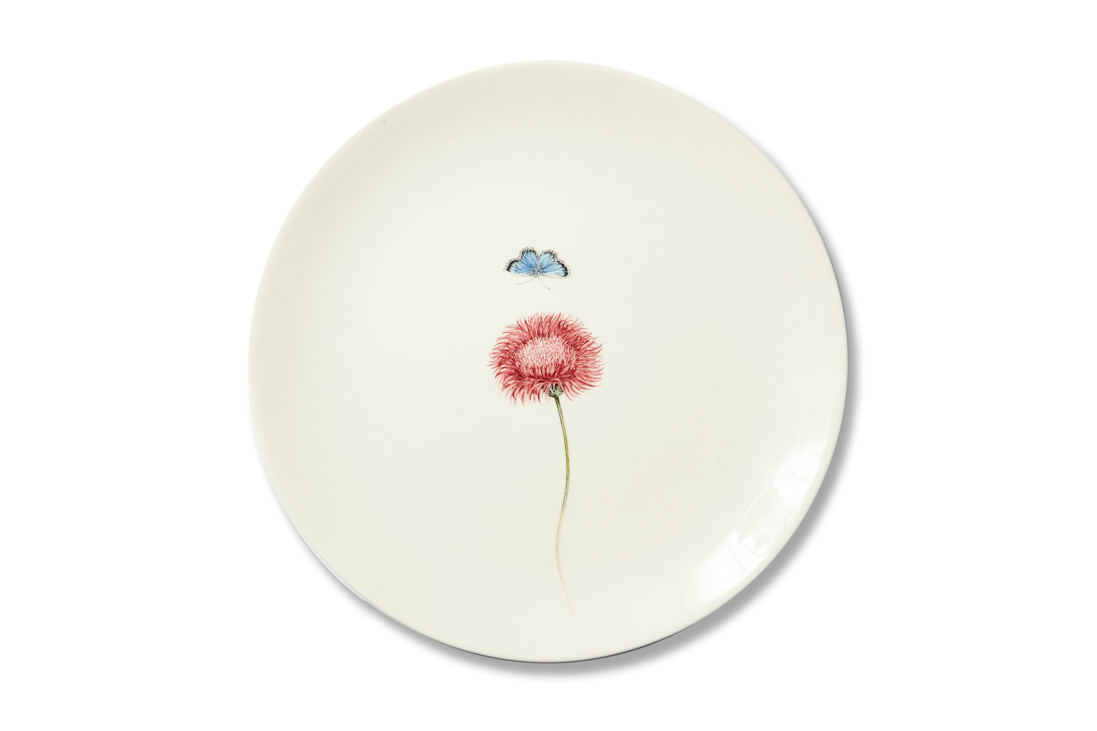 Bloom Silybum Marianum Plate