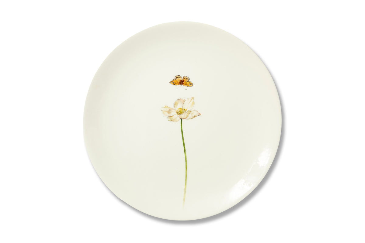 Bloom Anemone Hupehensis Plate