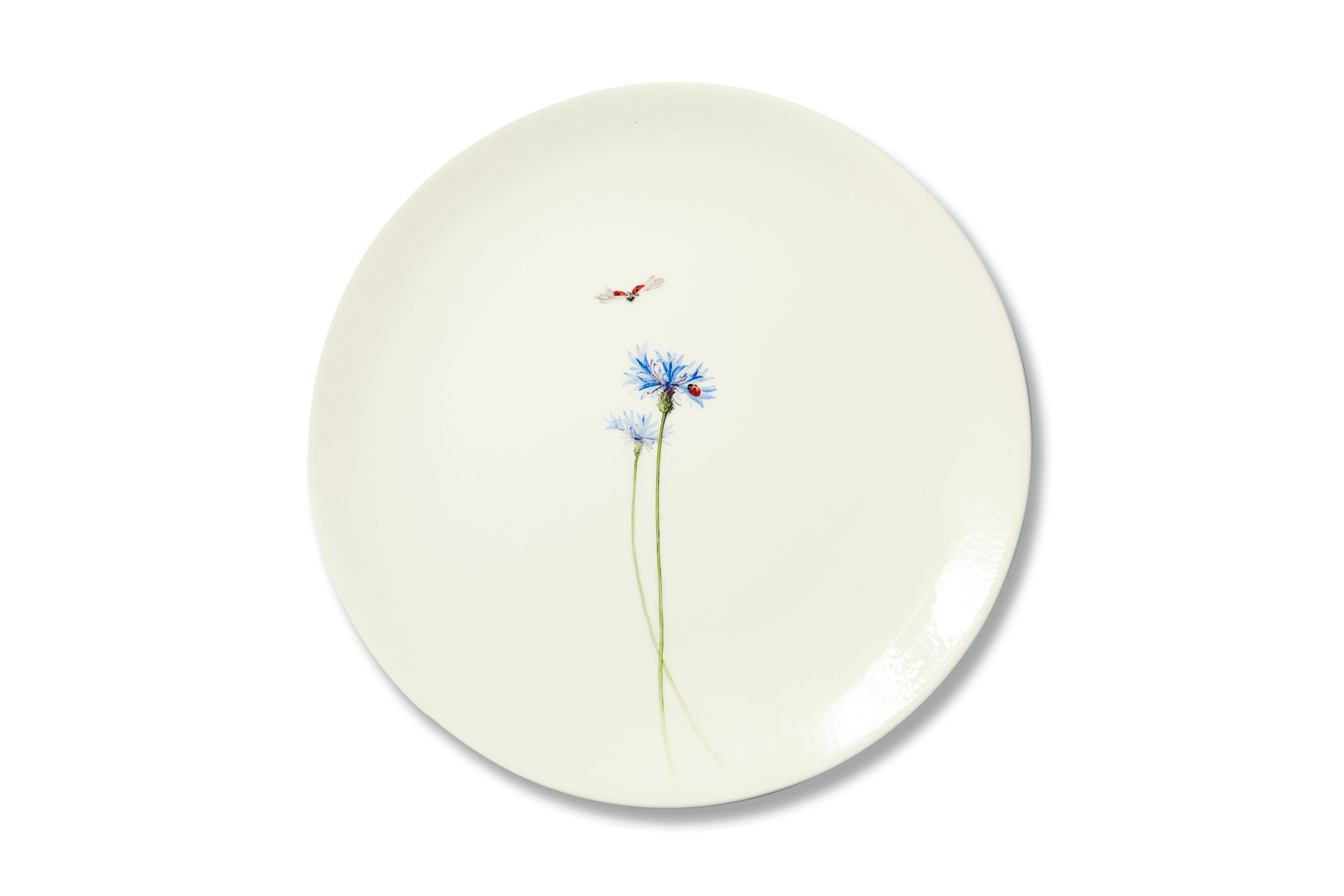 Bloom Centaurea Cyanus Plate