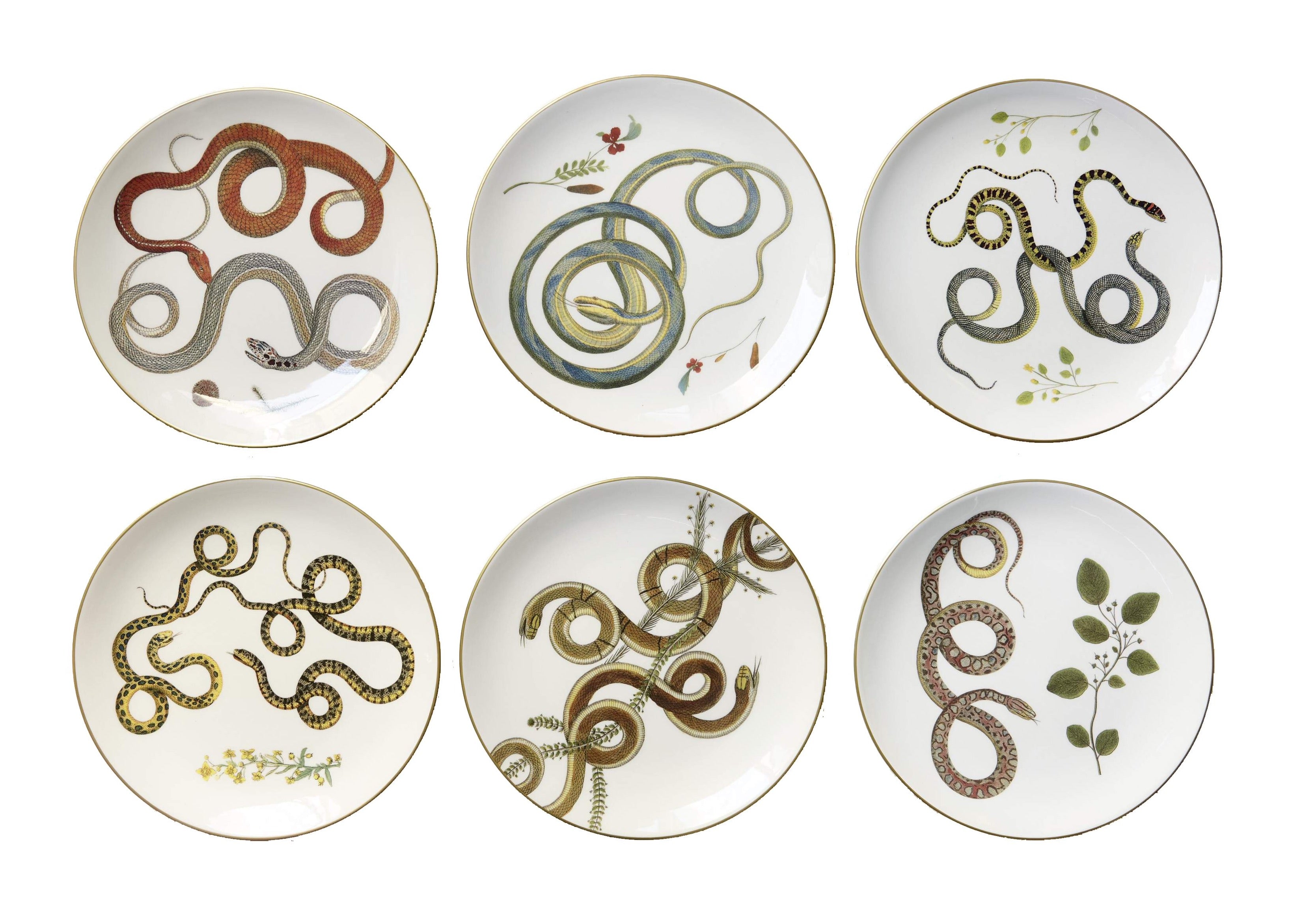 Serpentine Dinner Plate, Set of 6