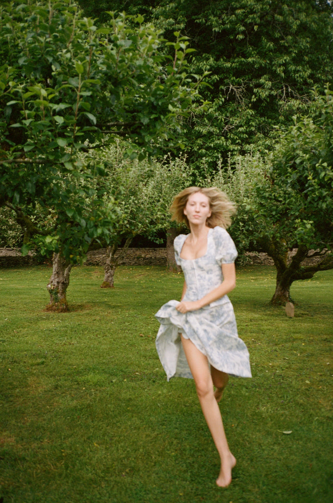 Roya Bodice in Blue Toile de Jouy