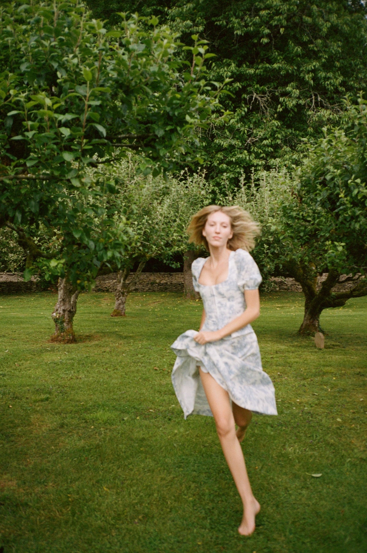 Roya Bodice in Blue Toile de Jouy