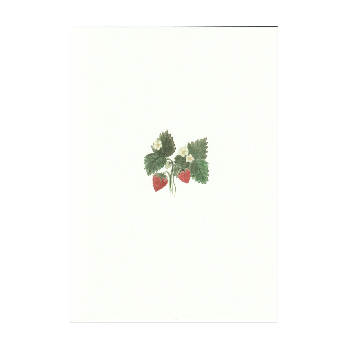 Strawberry Cards, Set of 5