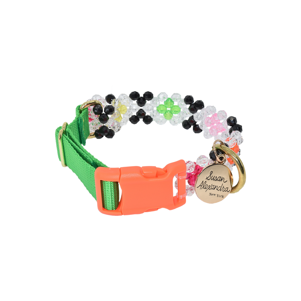 Seltzer Dog Collar