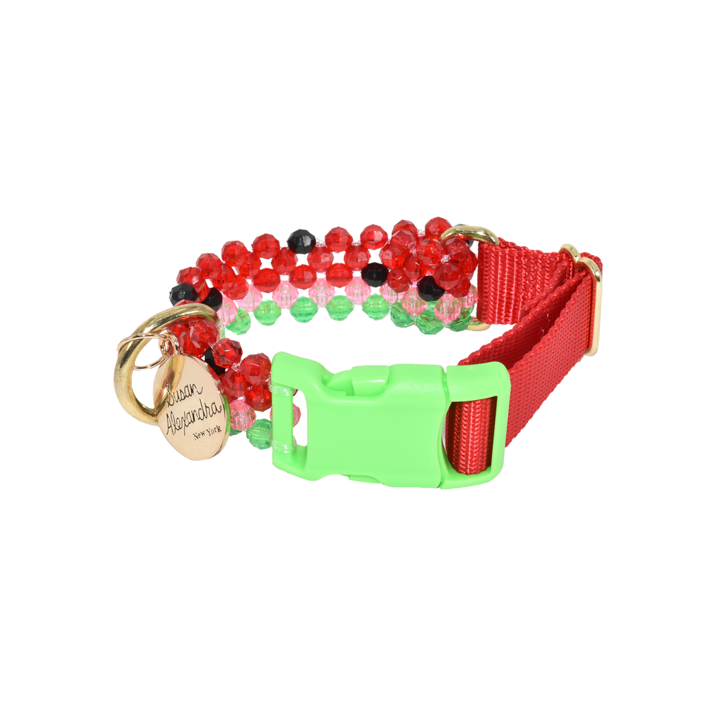 Watermelon Dog Collar