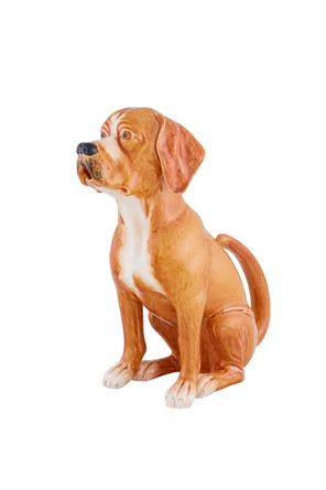 Pitchers Brown Dog