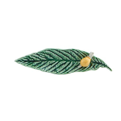 Countryside Leaves Medlar Leaf with Snail