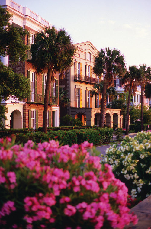Enter for a Chance to Win A Free Luxury Babymoon in Charleston